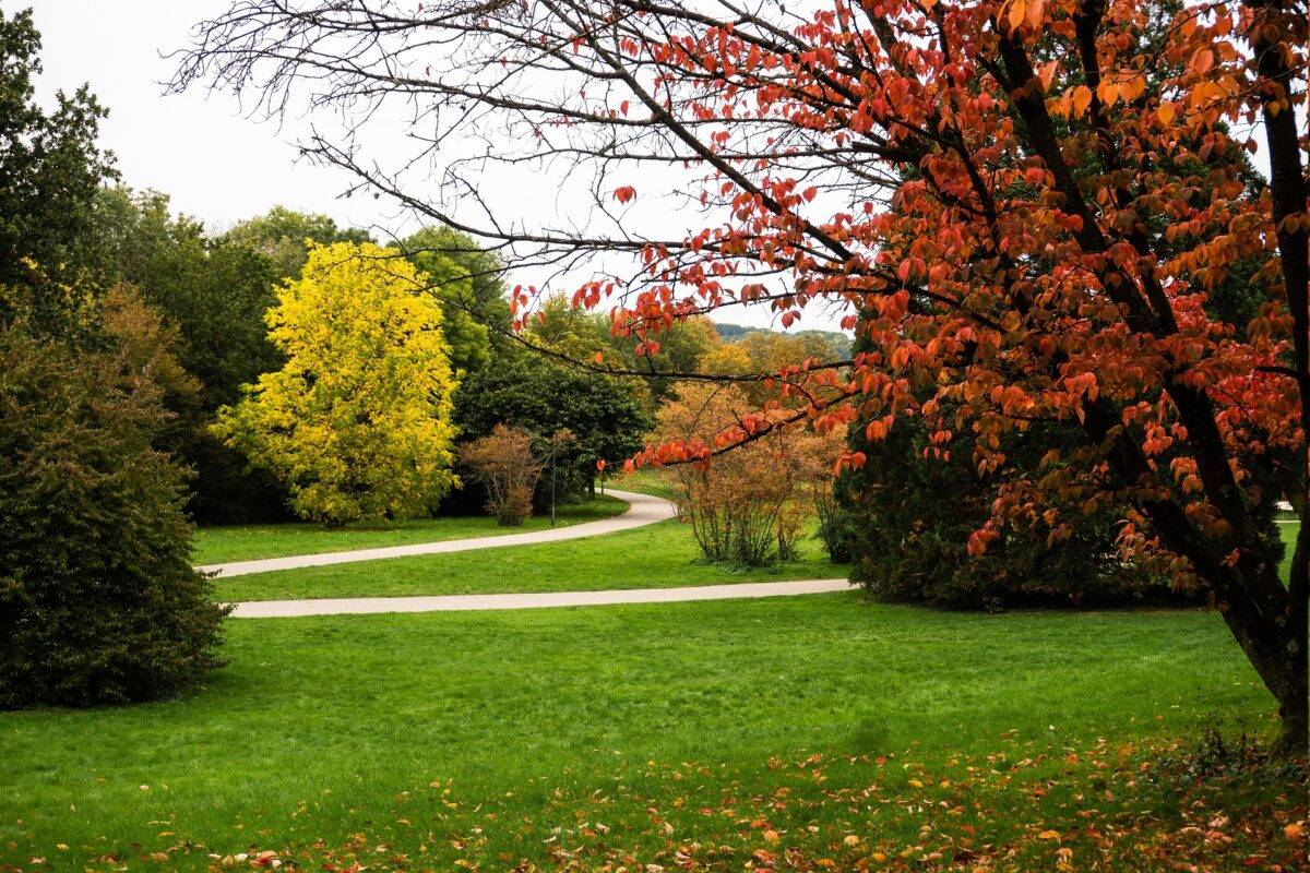 In bici al Parco Secolare di Levico Terme