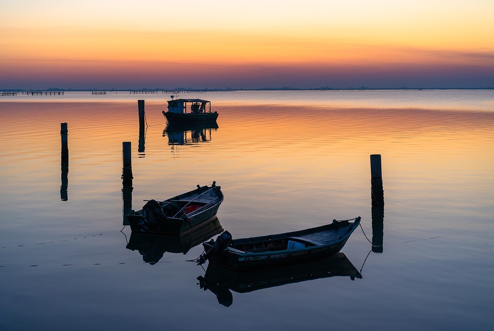 Il Delta del Po. <br>Una riserva di biosfera