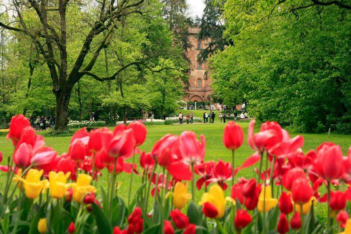 A spasso tra i tulipani al castello di Pralormo