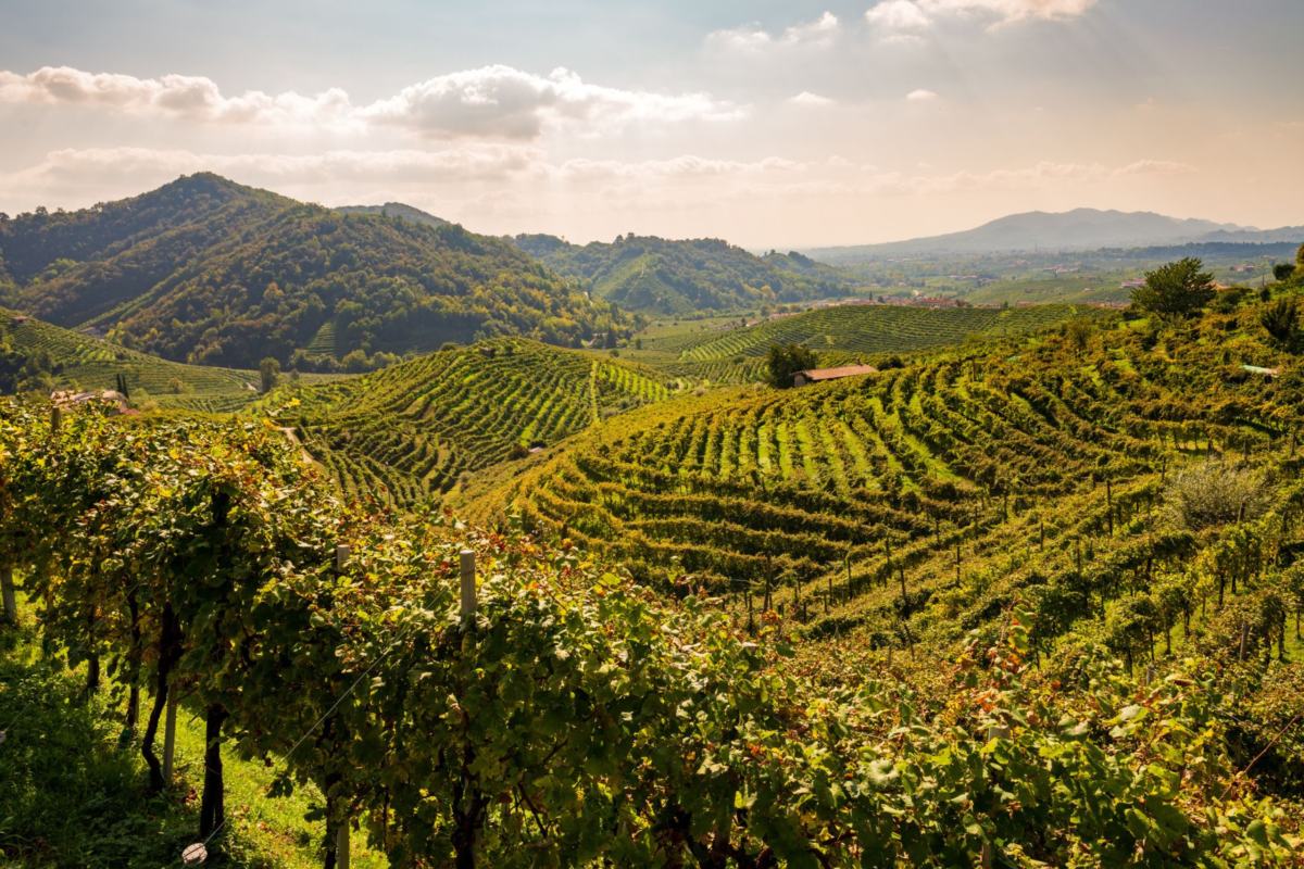 LE CICLABILI DELLA VALPOLICELLA: OLTRE 200 KM PEDALANDO TRA I VIGNETI