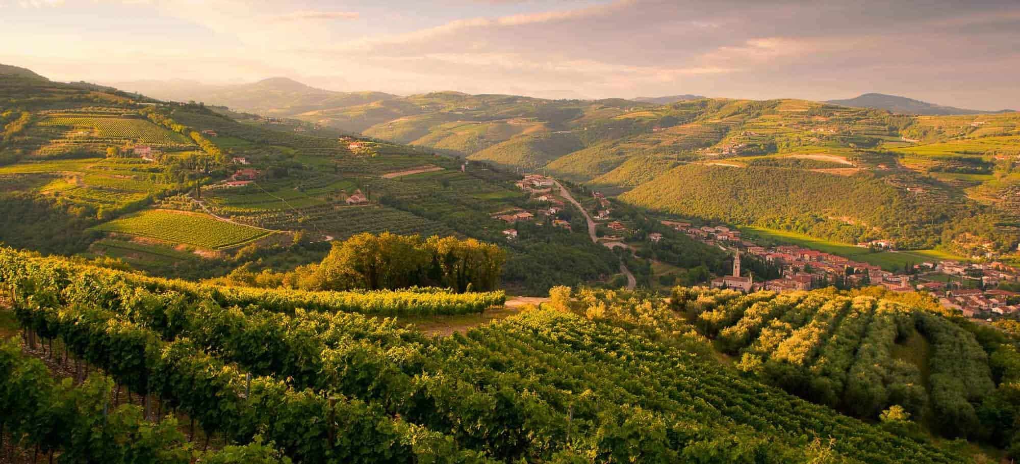 LE CICLABILI DELLA VALPOLICELLA: OLT RE 200 KM PEDALANDO T RA I V IGNET I