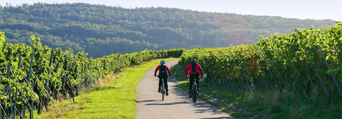 LE CICLABILI DELLA VALPOLICELLA: OLT RE 200 KM PEDALANDO T RA I V IGNET I