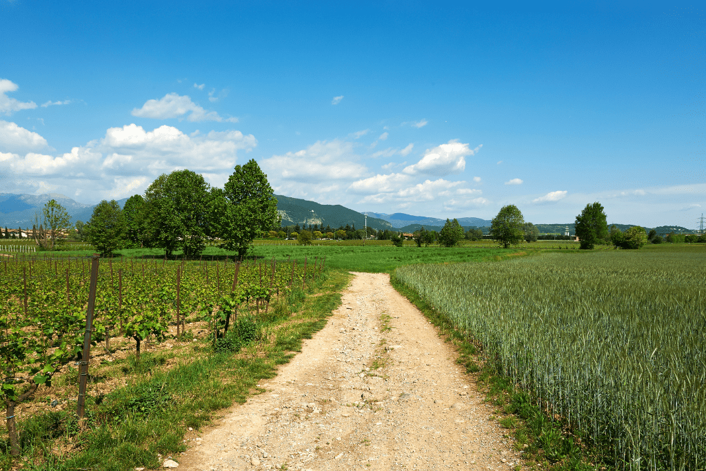 Esplorando la Franciacorta: Iseo