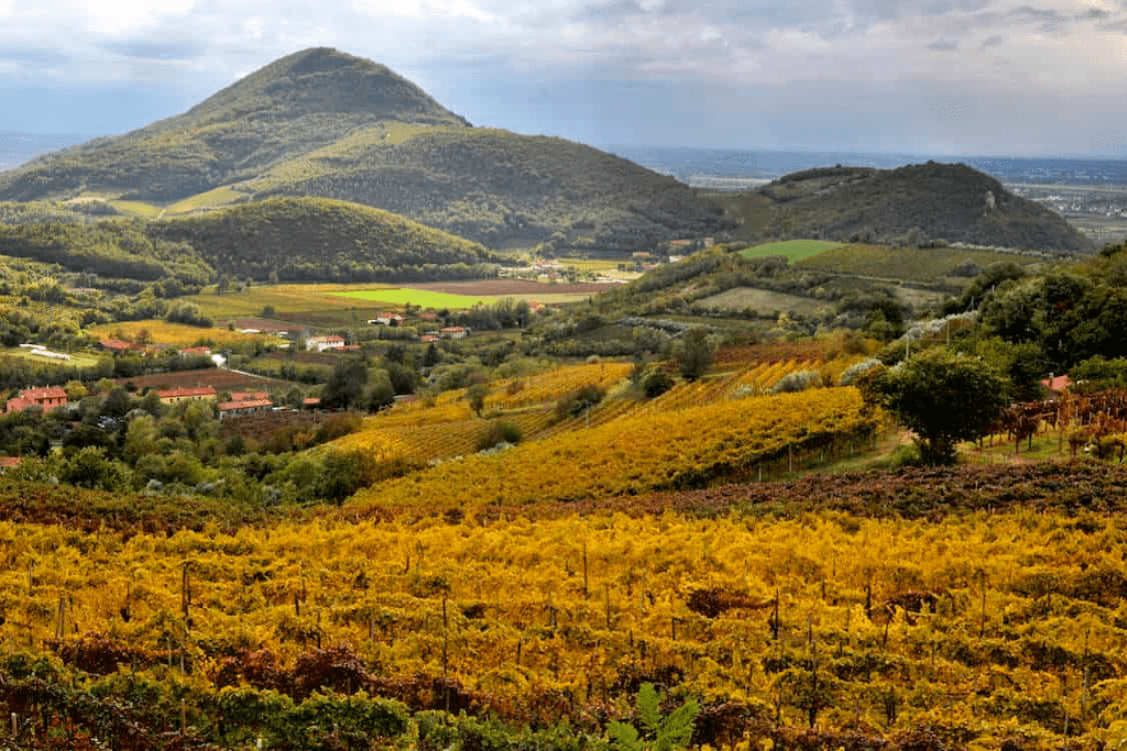 Una pedalata tra storia e natura