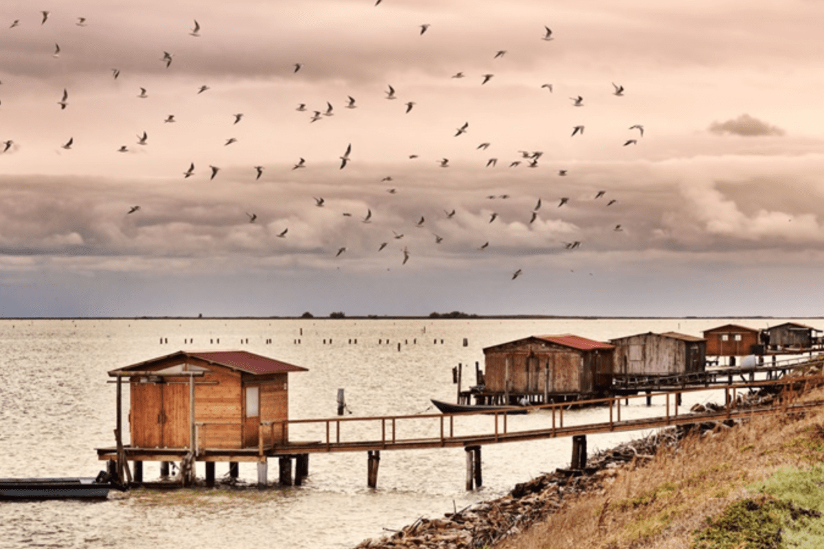 Escursioni inverno: Il Parco Nazionale del Delta del Po