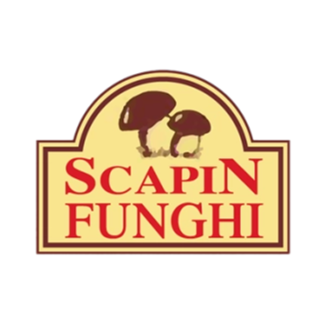 Logo Cliente